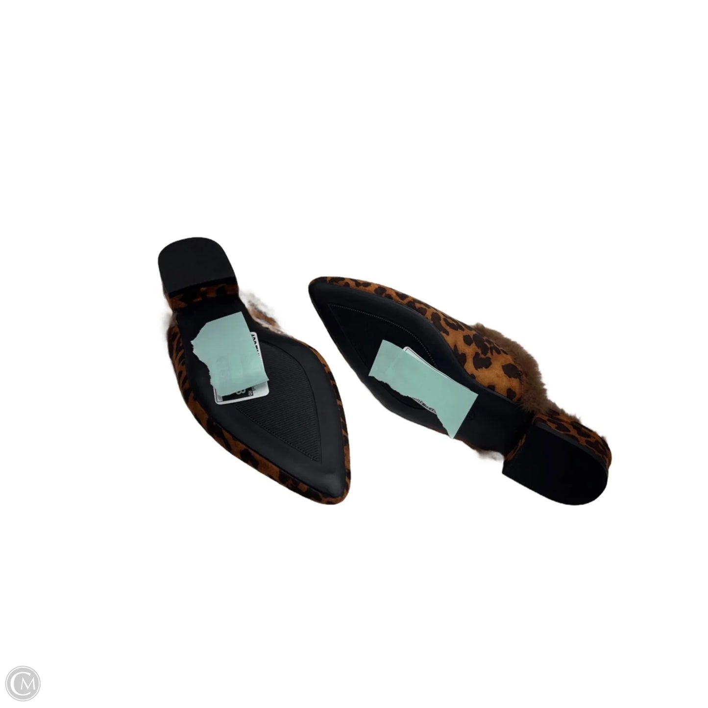 Shoes Flats By Clothes Mentor In Leopard Print, Size: 6.5