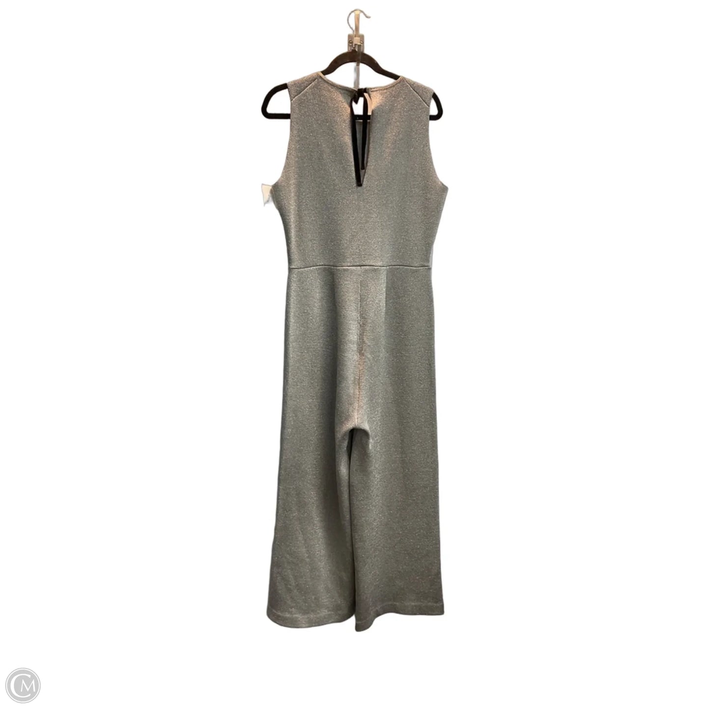 Jumpsuit By J. Crew In Silver, Size: M