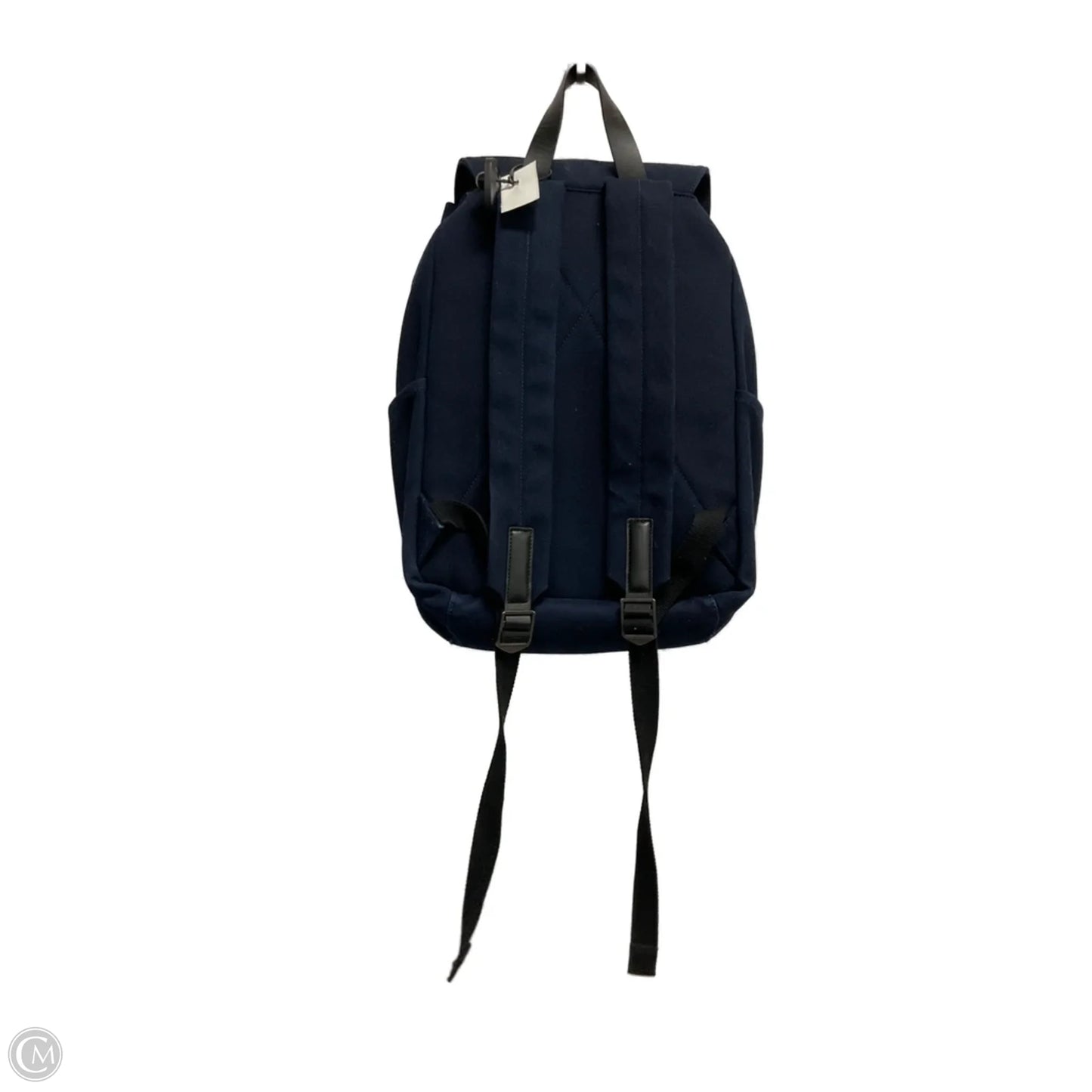 Backpack By Everlane, Size: Large