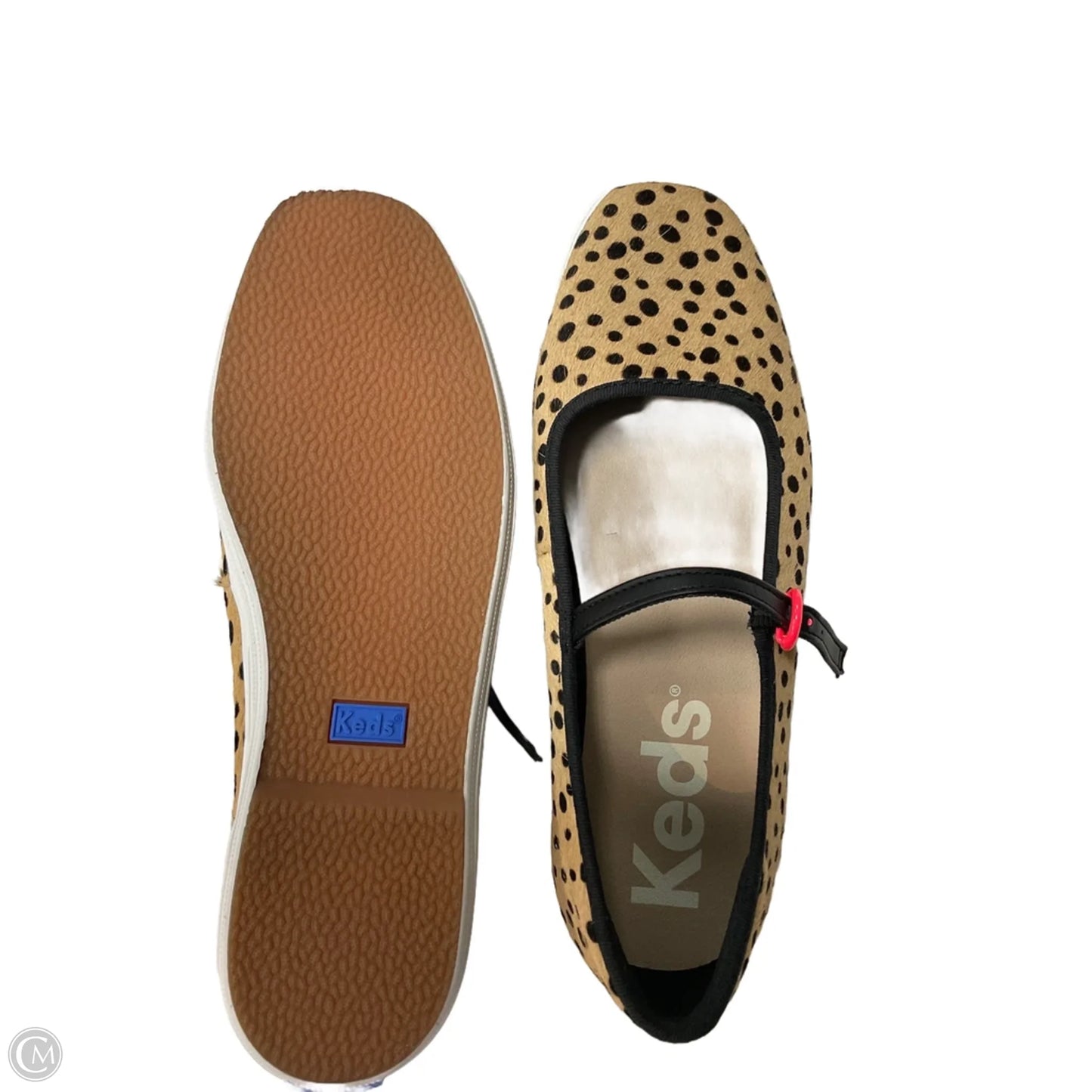 Shoes Sneakers By Keds In Black & Tan, Size: 7.5