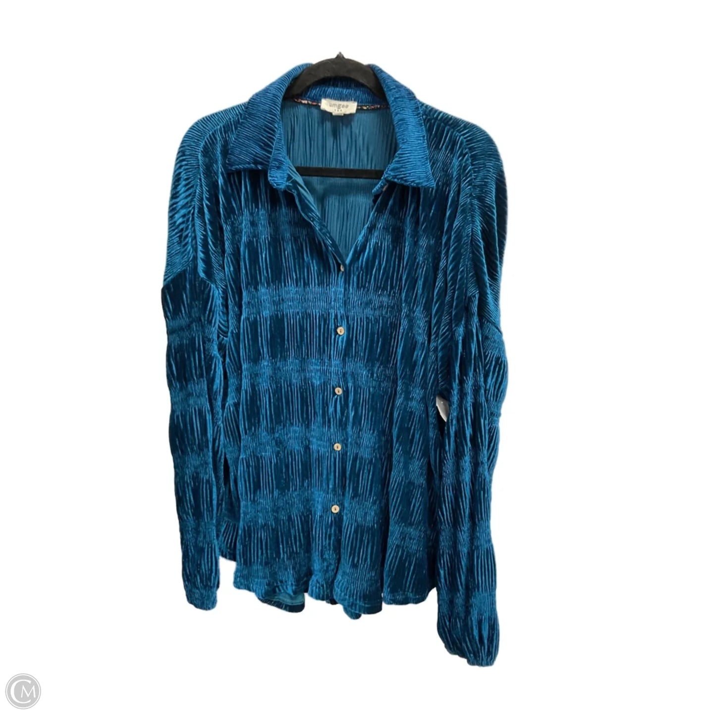 Blouse Long Sleeve By Umgee In Teal, Size: L