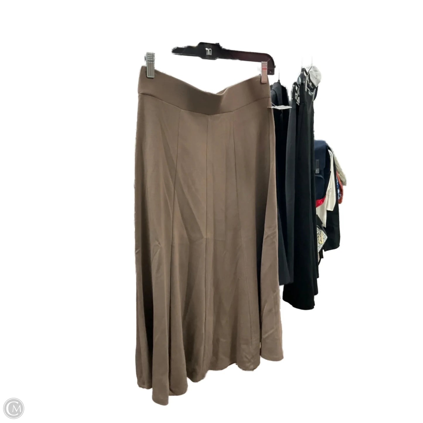 Skirt Midi By Roz And Ali In Brown, Size: 2