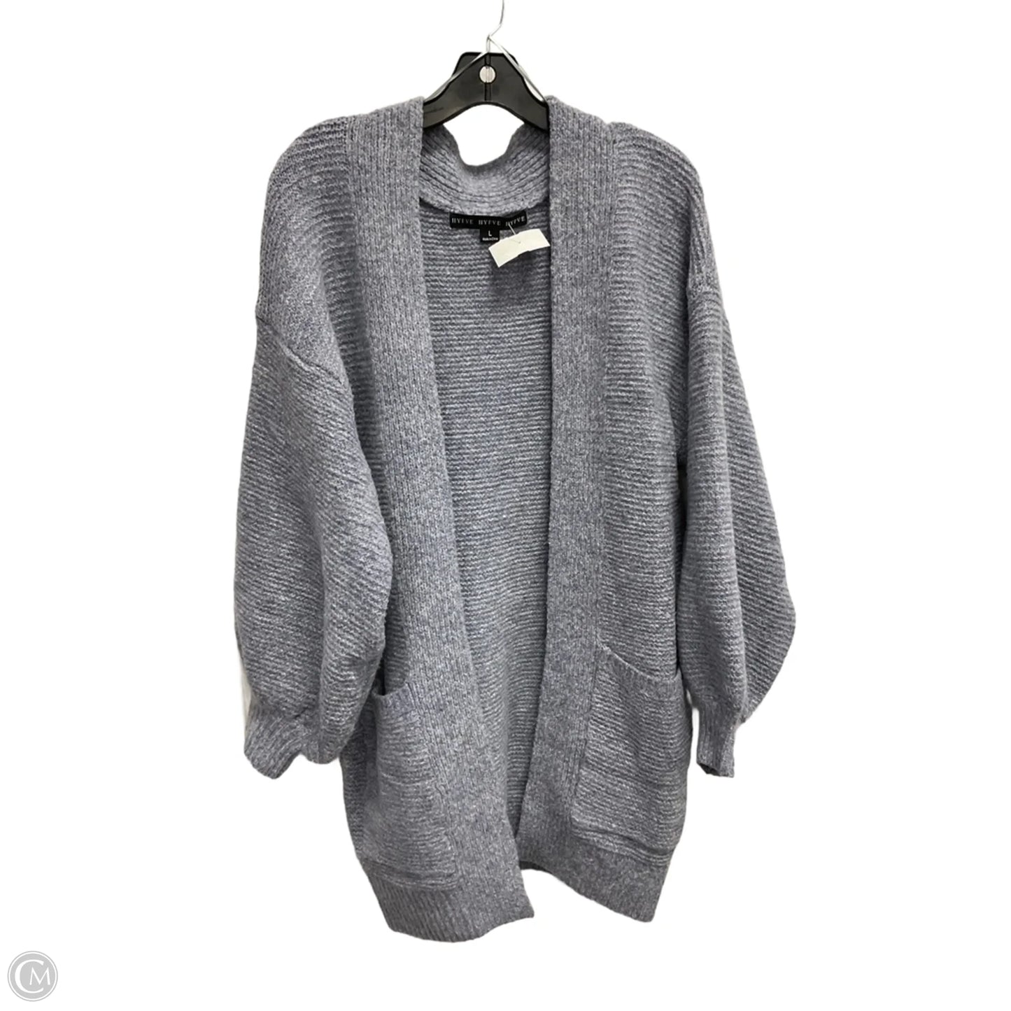 Sweater Cardigan By Hyfve In Blue, Size: L