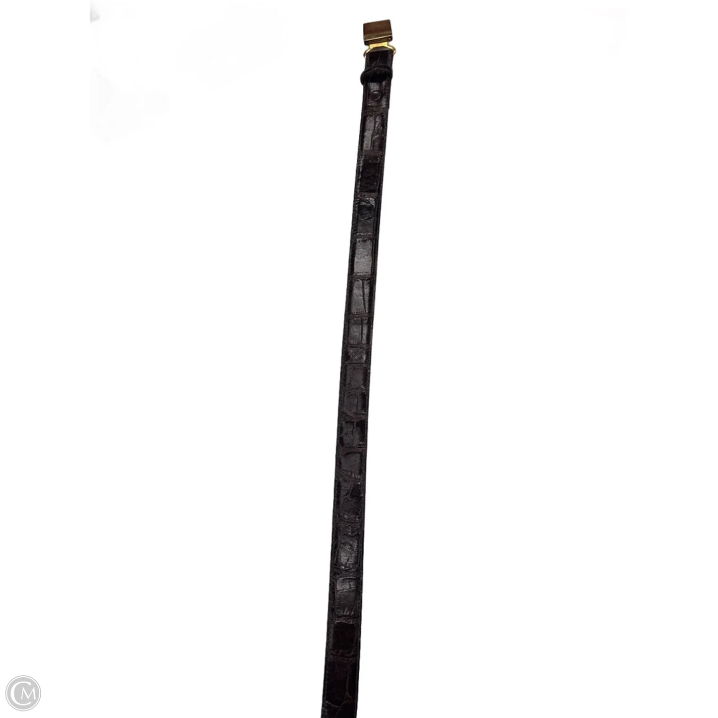 Belt By Polo Ralph Lauren