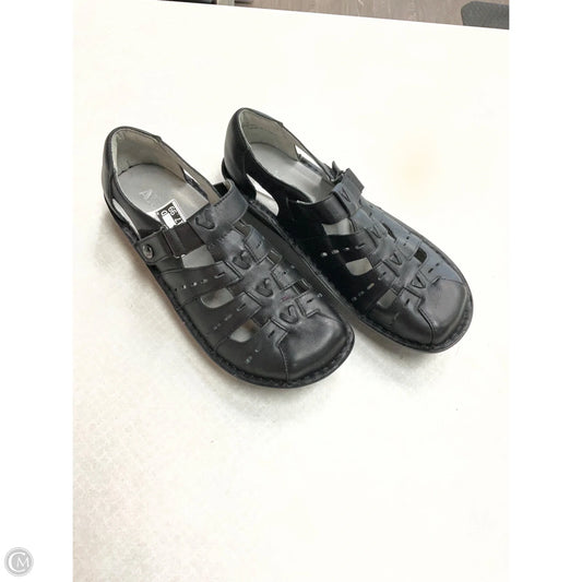 Shoes Flats By Alegria In Black, Size: 10