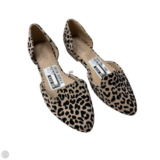 Shoes Flats By Rachel Zoe In Leopard Print, Size: 7.5