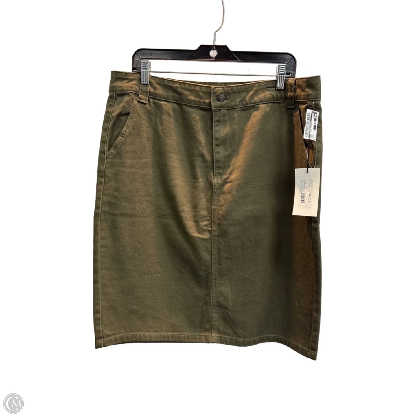 Skirt Mini & Short By Clothes Mentor In Green, Size: Xl