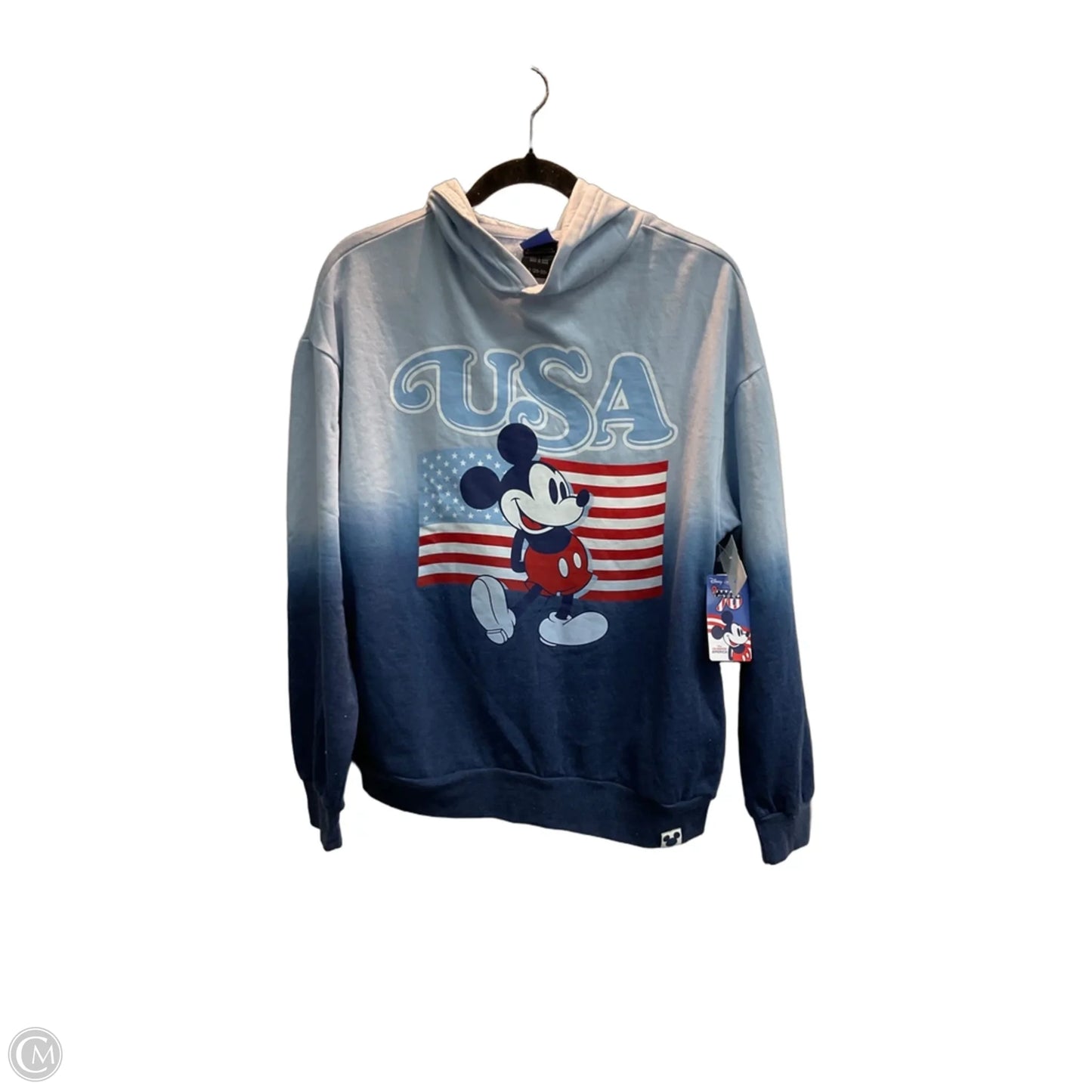 Sweatshirt Hoodie By Disney In Blue, Size: S