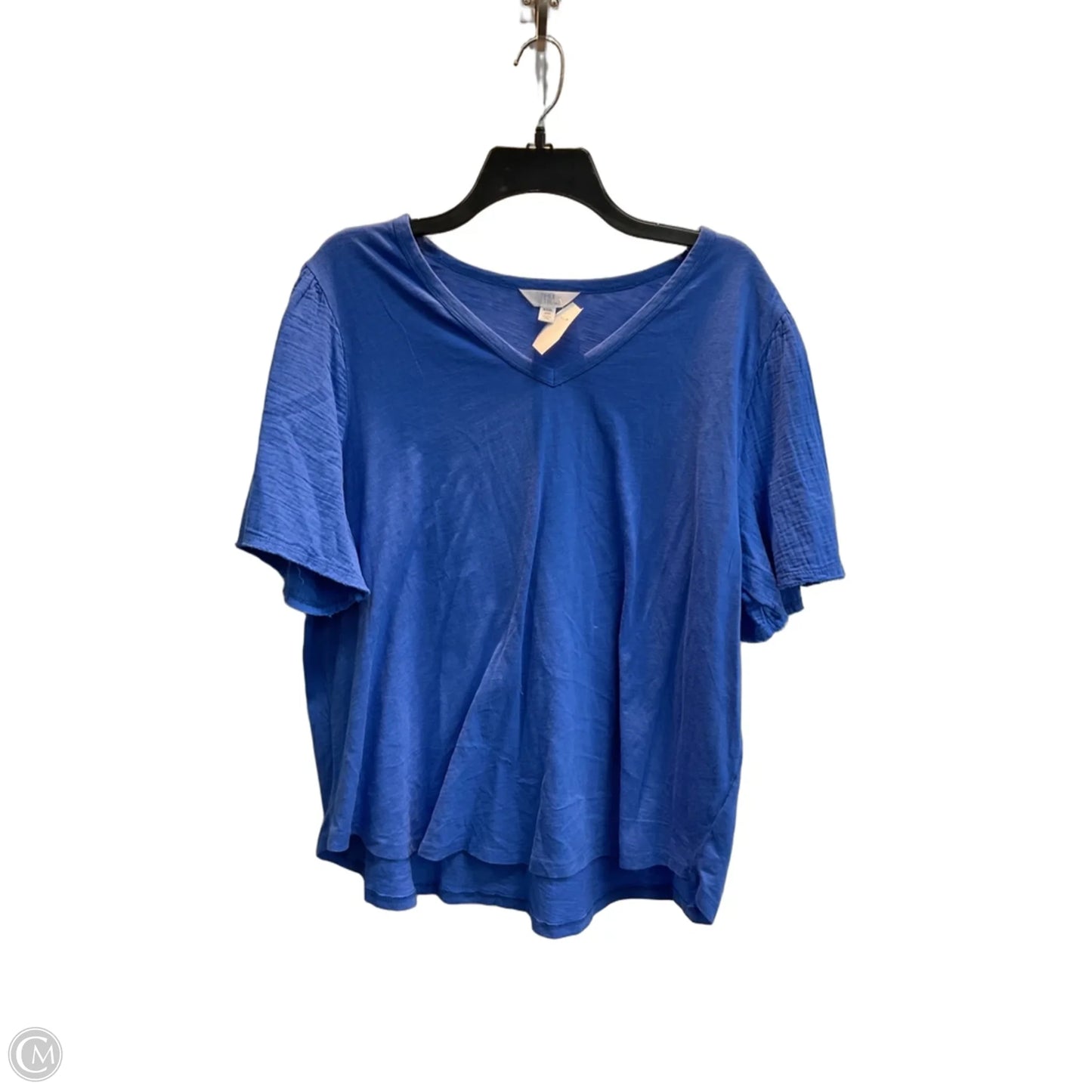 Top Short Sleeve By Time And Tru In Blue, Size: 3x