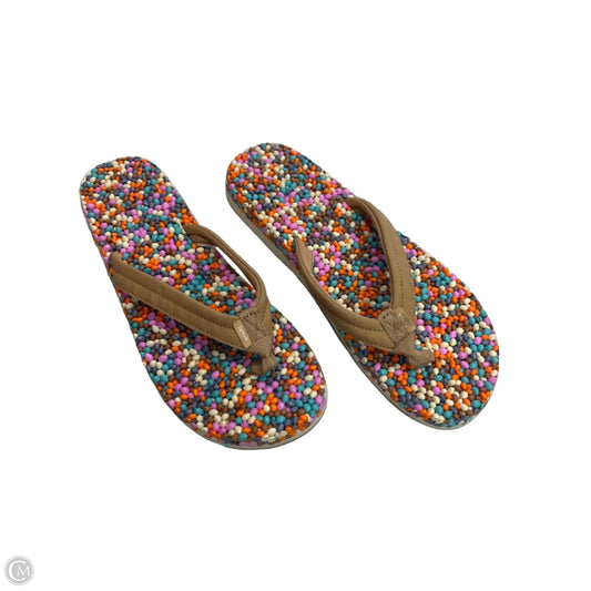 Sandals Flip Flops By Sanuk In Multi-colored, Size: 10