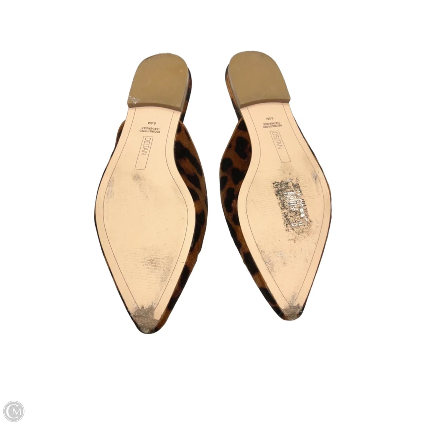 Shoes Flats By Clothes Mentor In Leopard Print, Size: 9.5