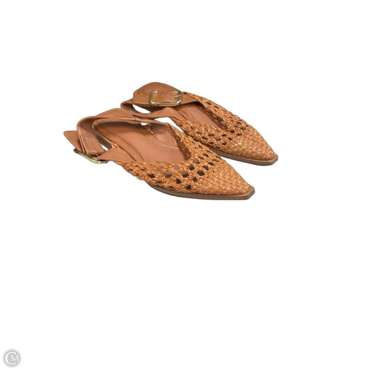Shoes Flats By Steve Madden In Brown, Size: 7