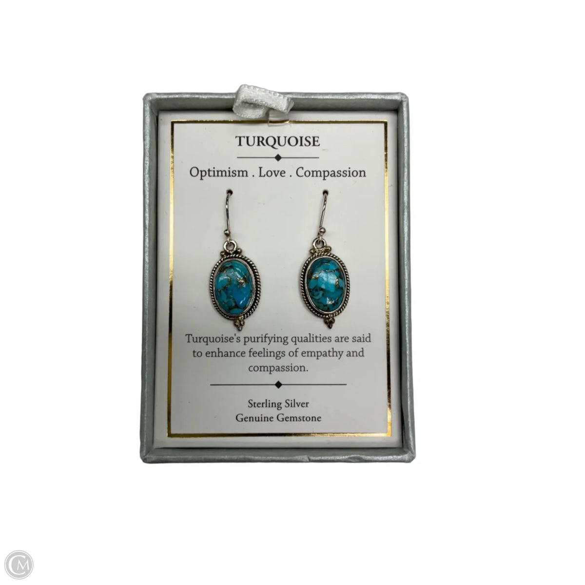 Earrings Dangle/drop By Clothes Mentor