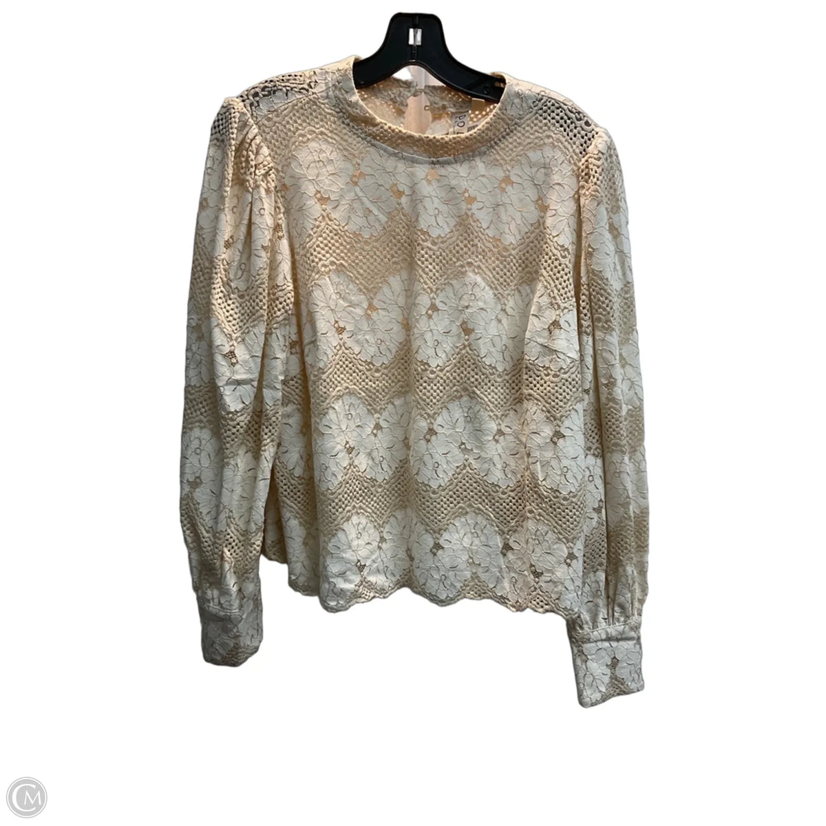 Top Long Sleeve By Dolan Left Coast In Tan, Size: 1x