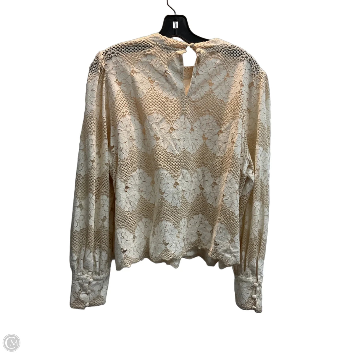 Top Long Sleeve By Dolan Left Coast In Tan, Size: 1x