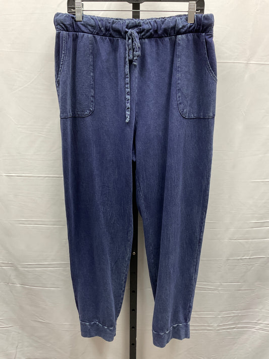 Pants Joggers By Jess And Jane  Size: Xl