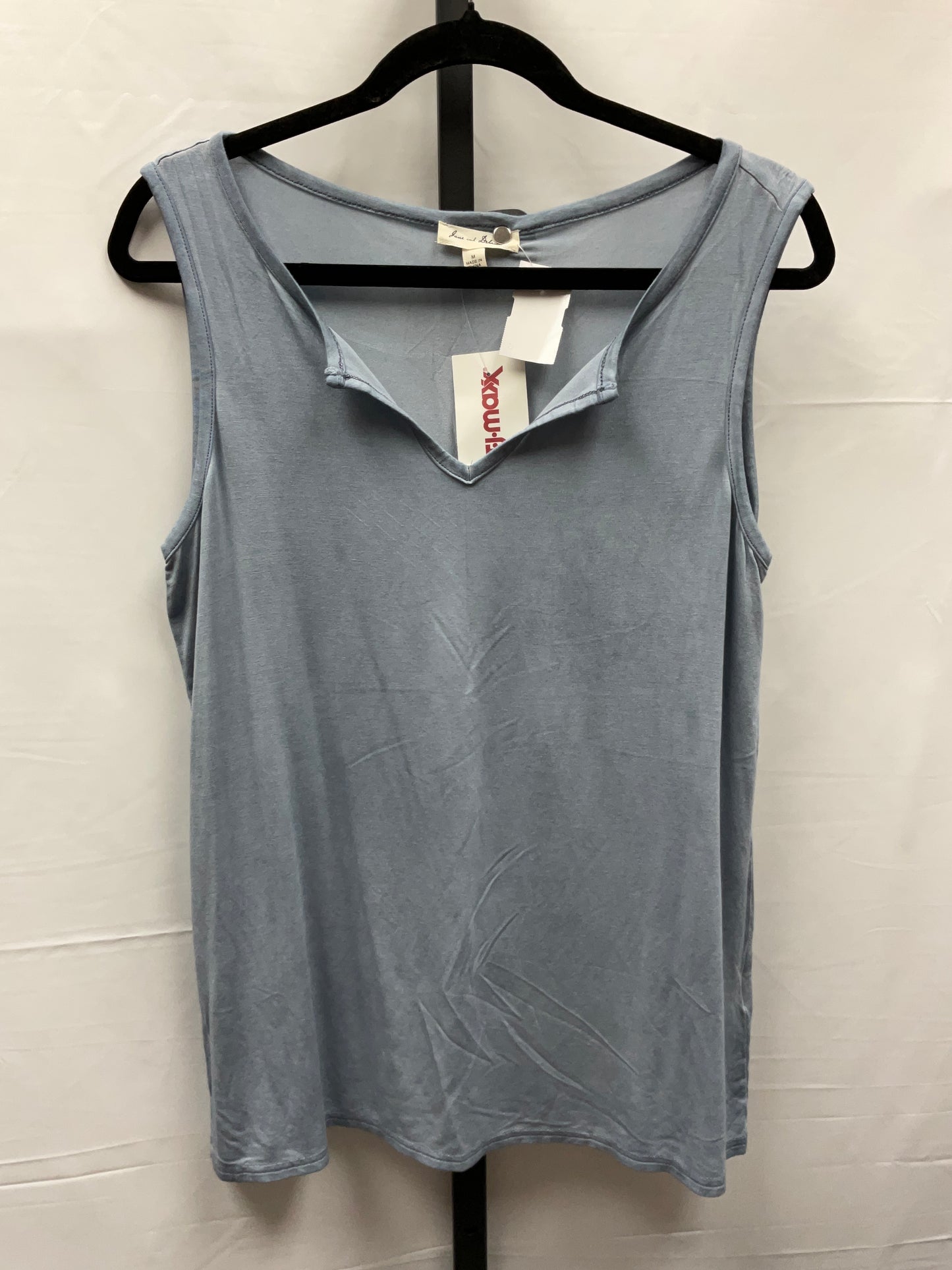 Blue Top Sleeveless Jane And Delancey, Size M