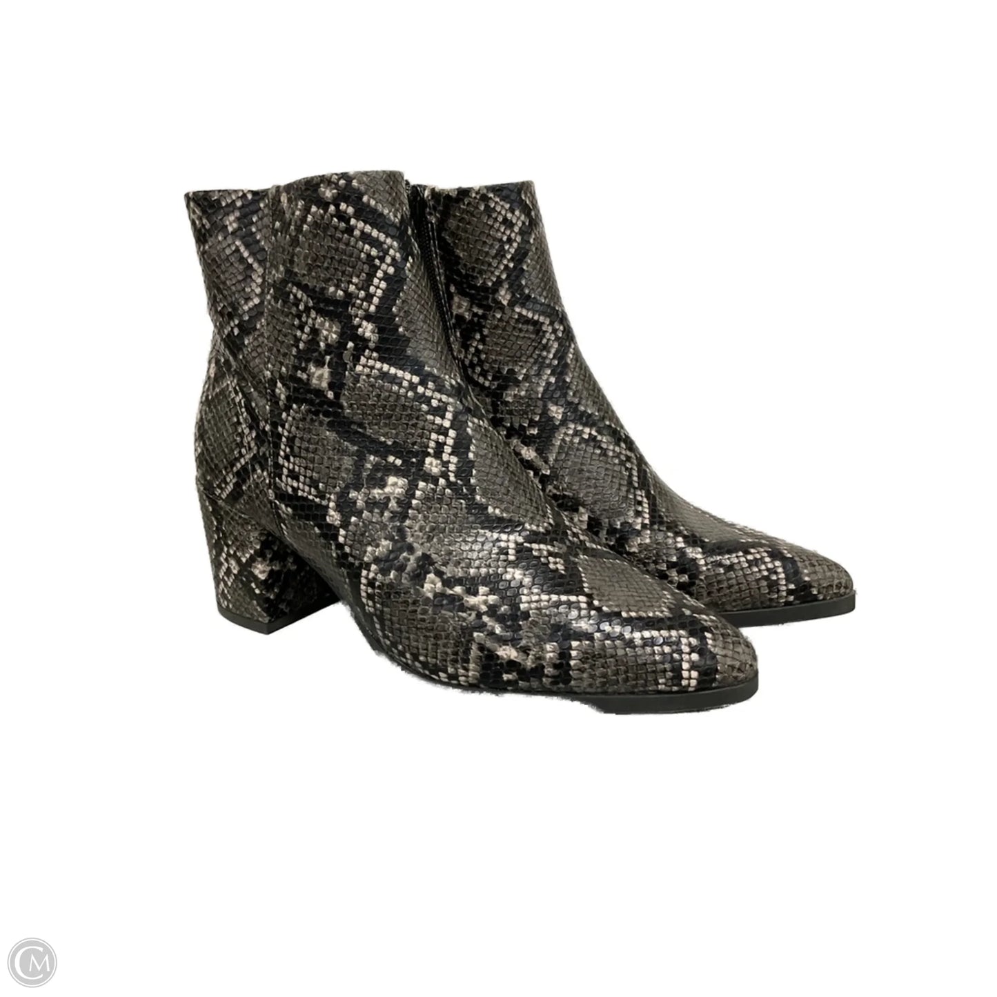 Boots Ankle Heels By Madden Girl In Snakeskin Print, Size: 9