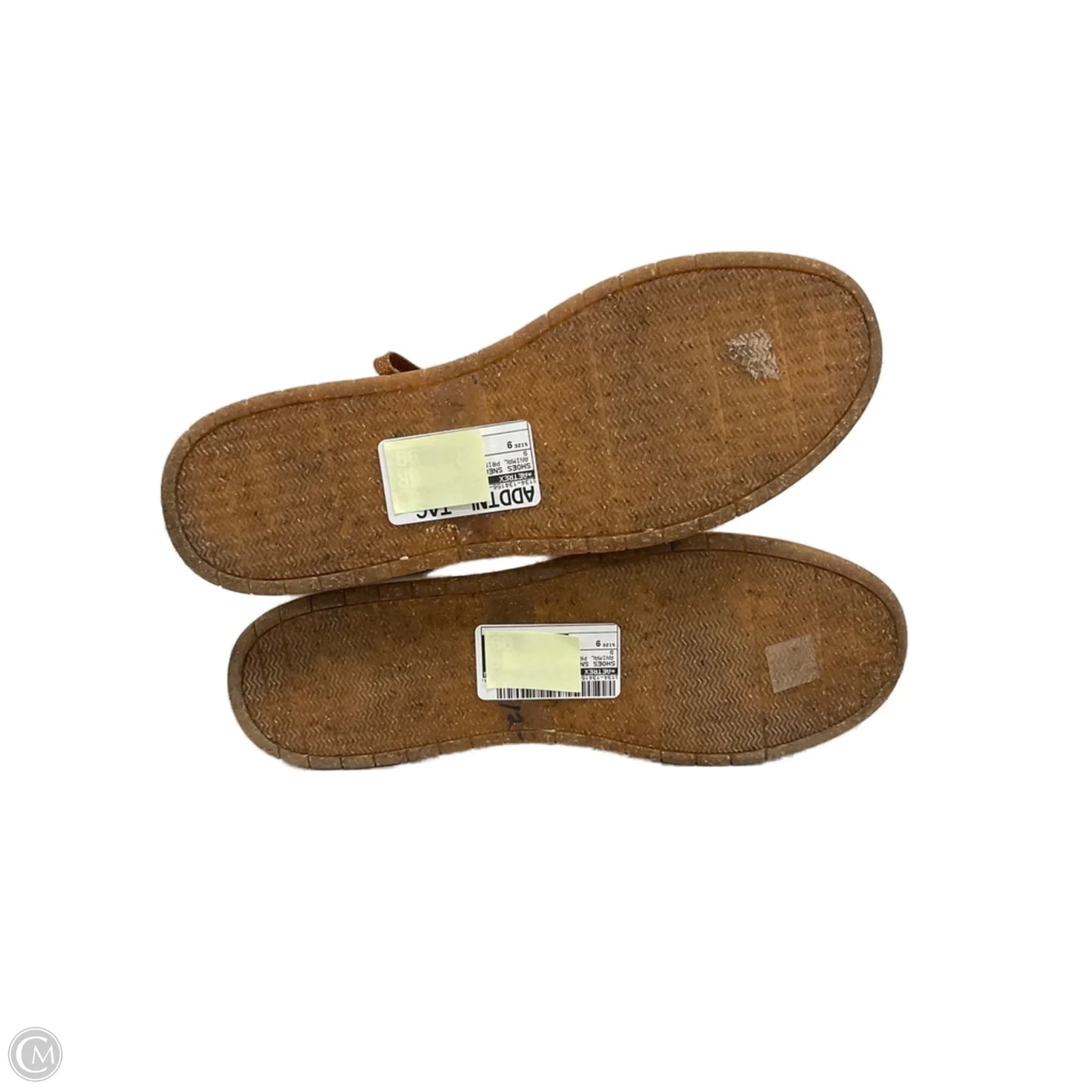 Shoes Sneakers By Aetrex In Animal Print, Size: 9