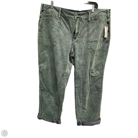 Pants Corduroy By Pilcro In Green, Size: 20