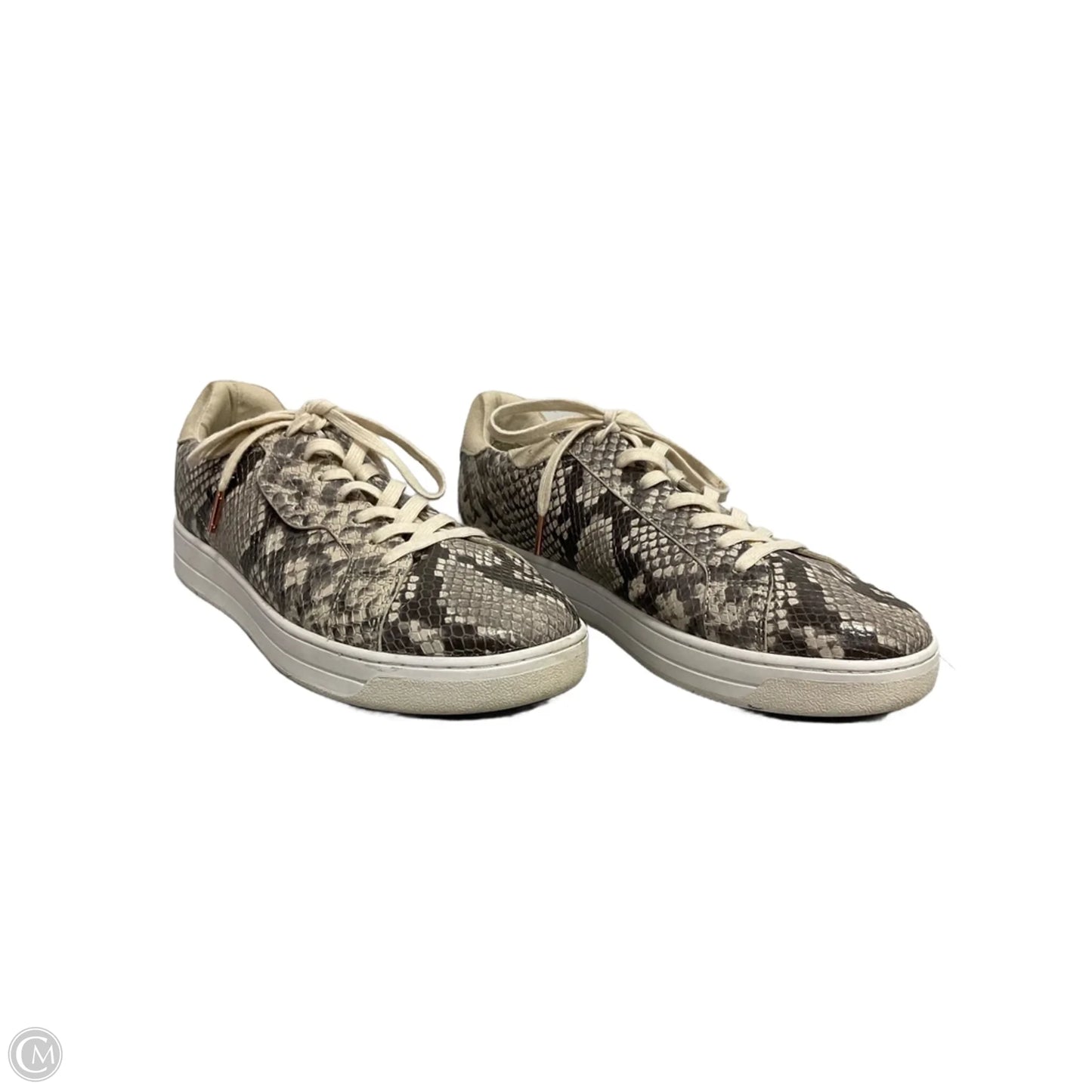 Shoes Sneakers By Michael By Michael Kors In Snakeskin Print, Size: 10