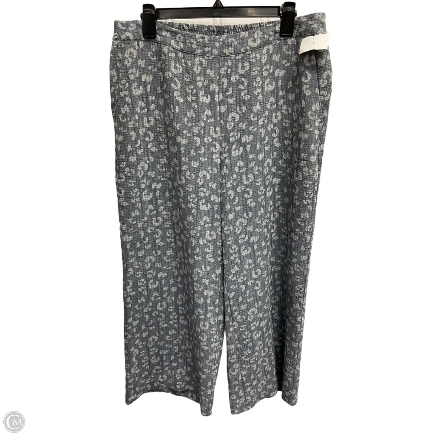 Pants Wide Leg By Chicos In Grey, Size: L