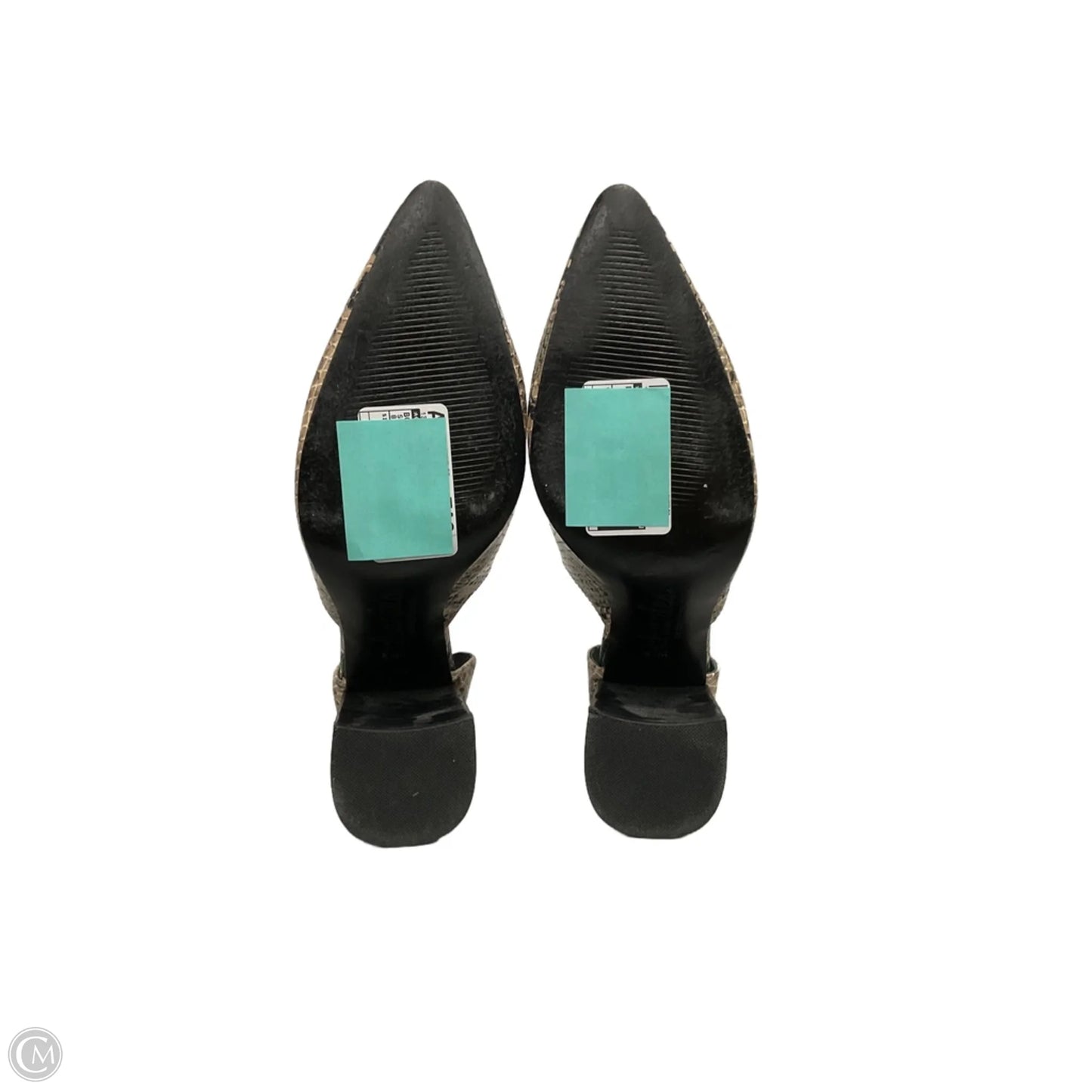 Boots Ankle Heels By Charles By Charles David In Snakeskin Print, Size: 8.5