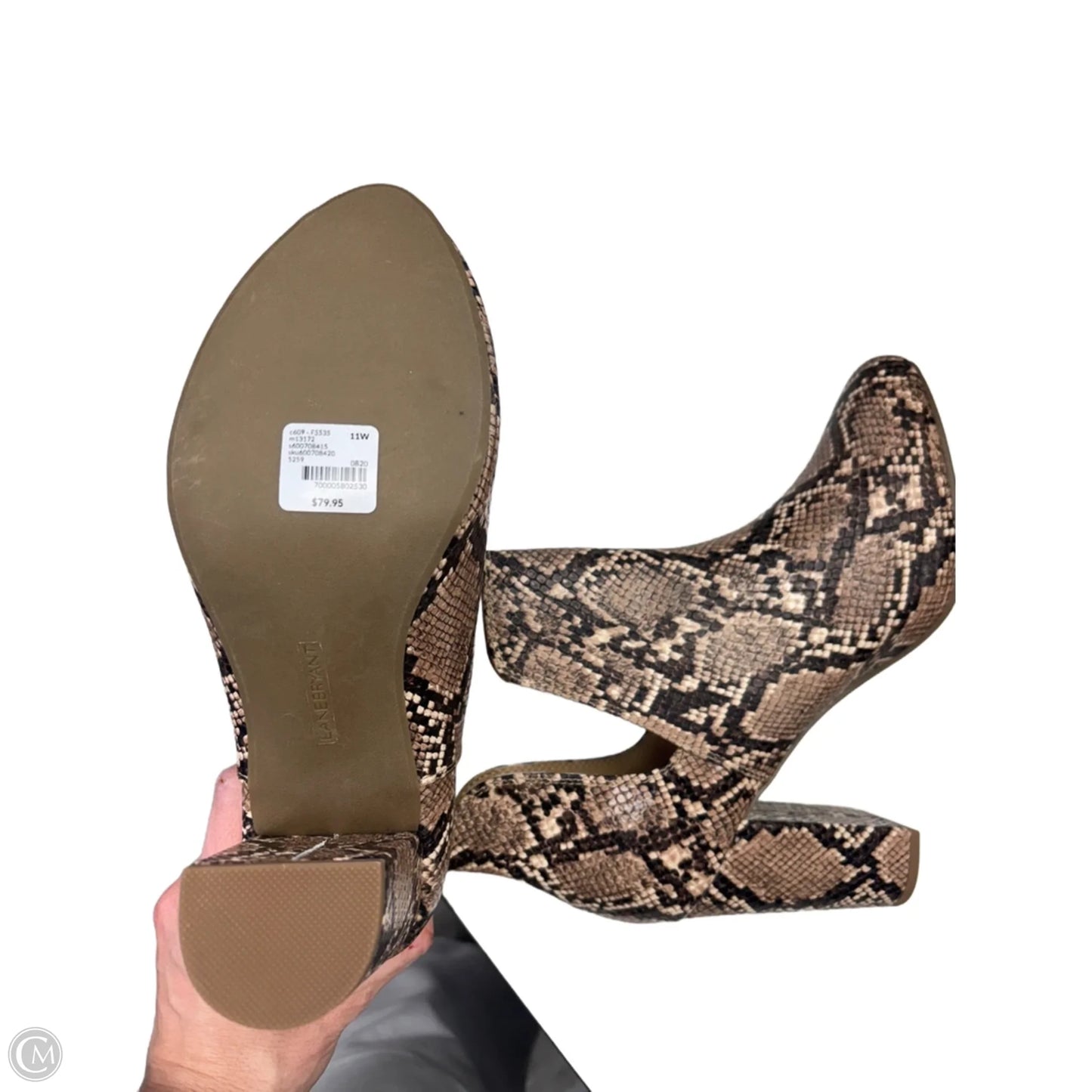 Boots Ankle Heels By Lane Bryant In Snakeskin Print, Size: 11