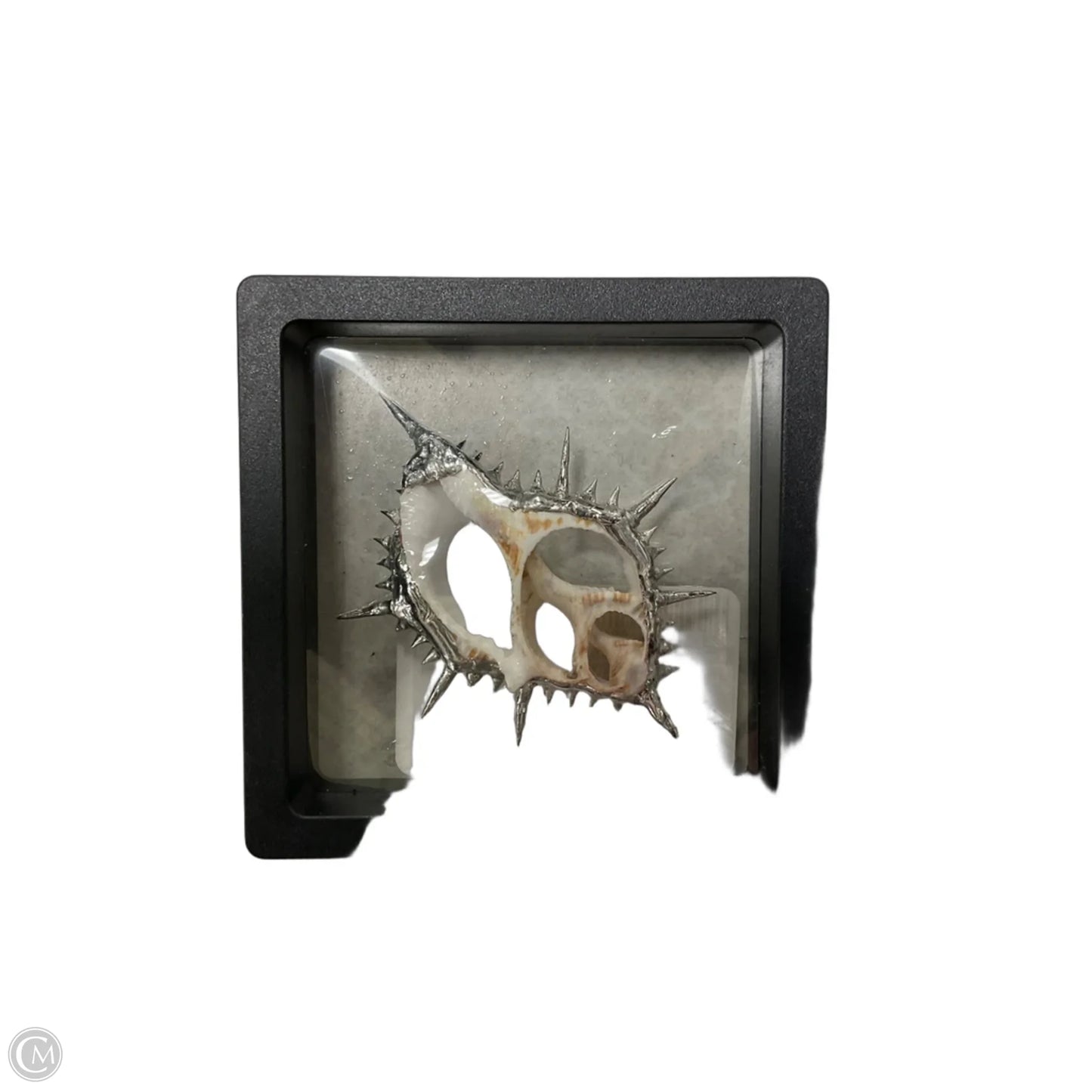 Jewelry Charm By Clothes Mentor