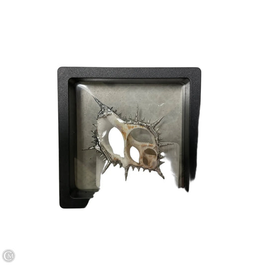 Jewelry Charm By Clothes Mentor