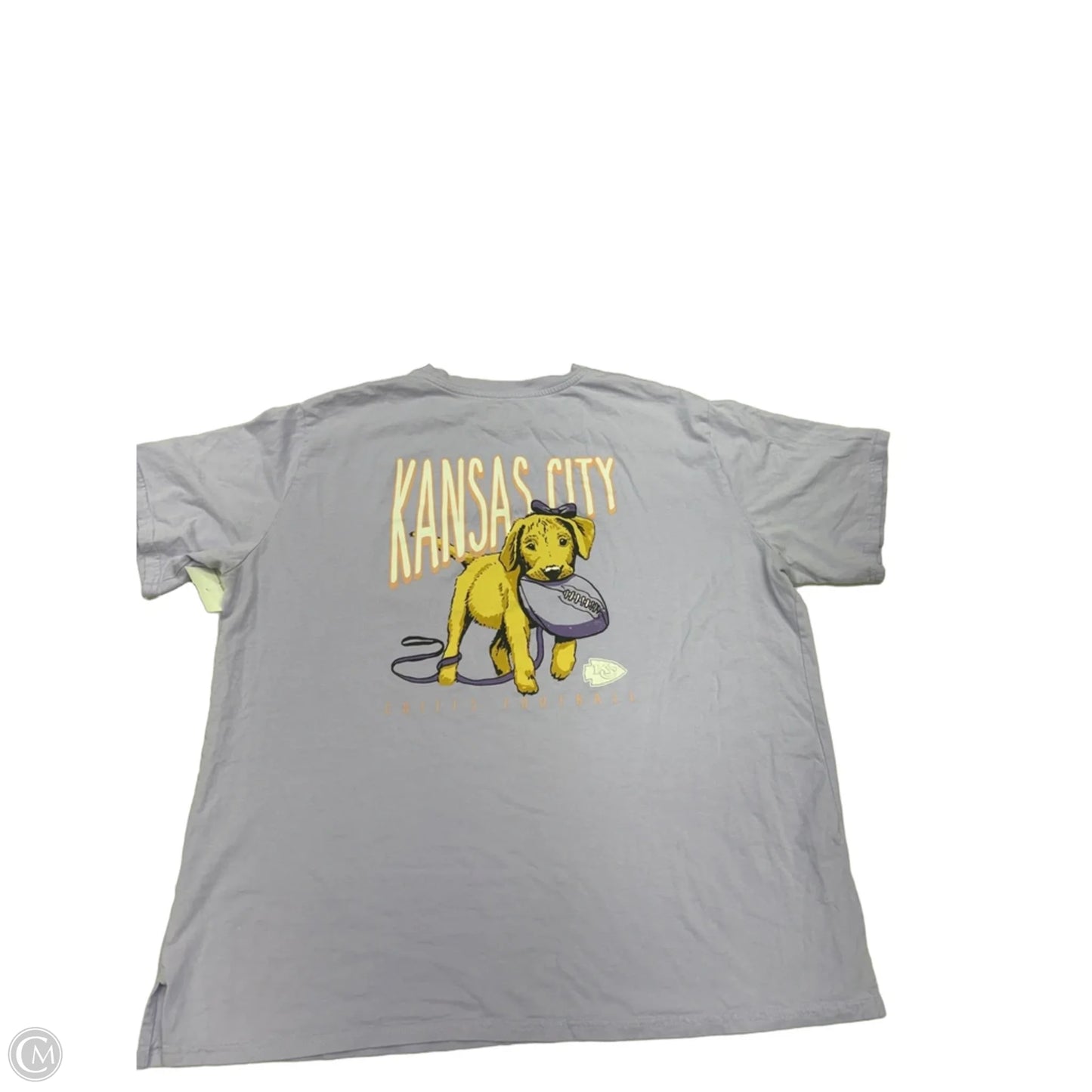 Top Short Sleeve By Nfl In Purple, Size: 2x
