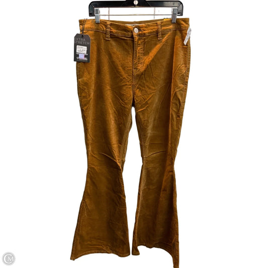 Jeans Flared By Rock & Roll In Brown, Size: 16