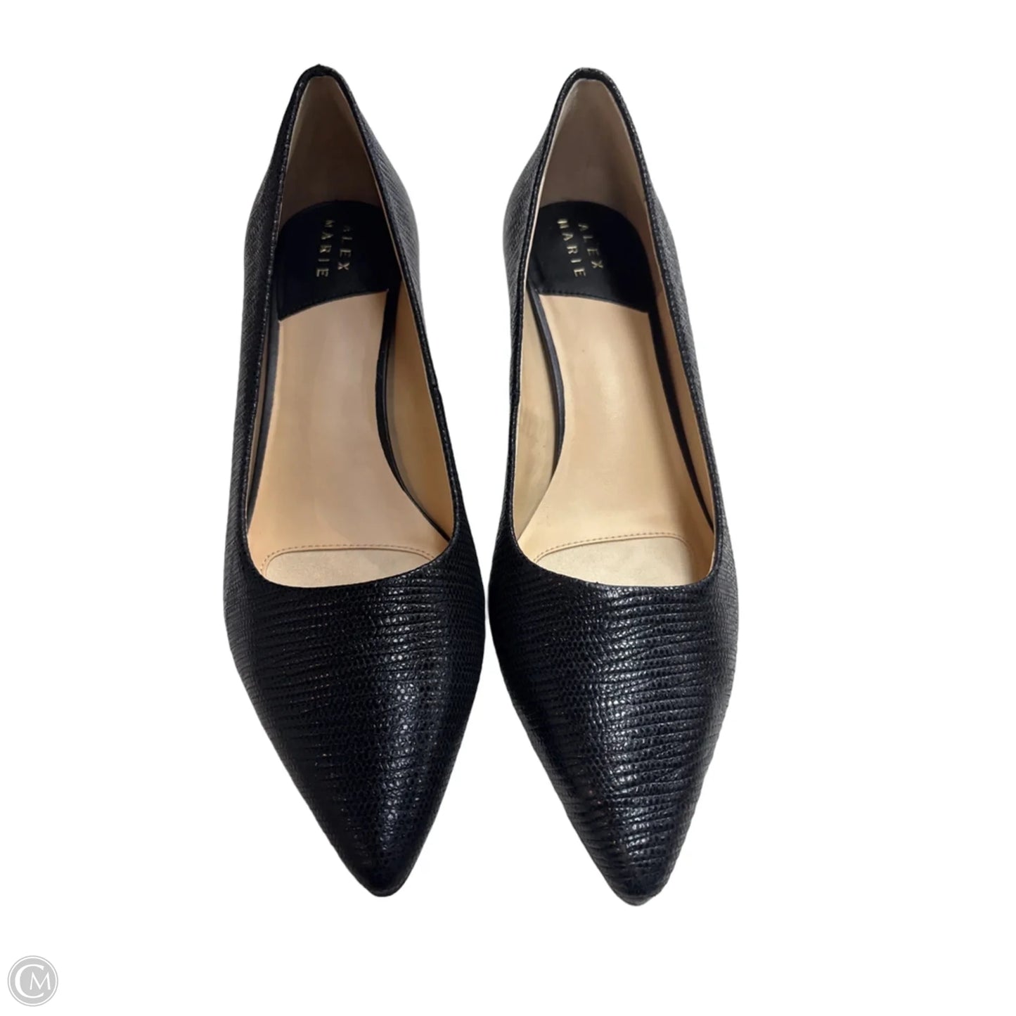 Shoes Heels Block By Alex Marie In Black, Size: 8.5