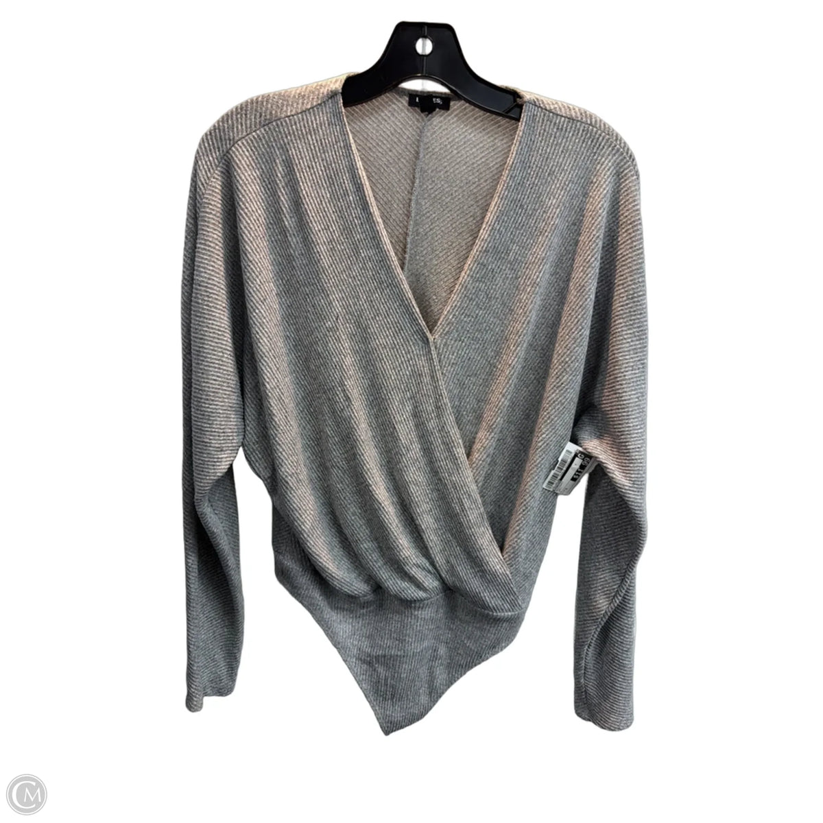 Bodysuit By Express In Grey, Size: S