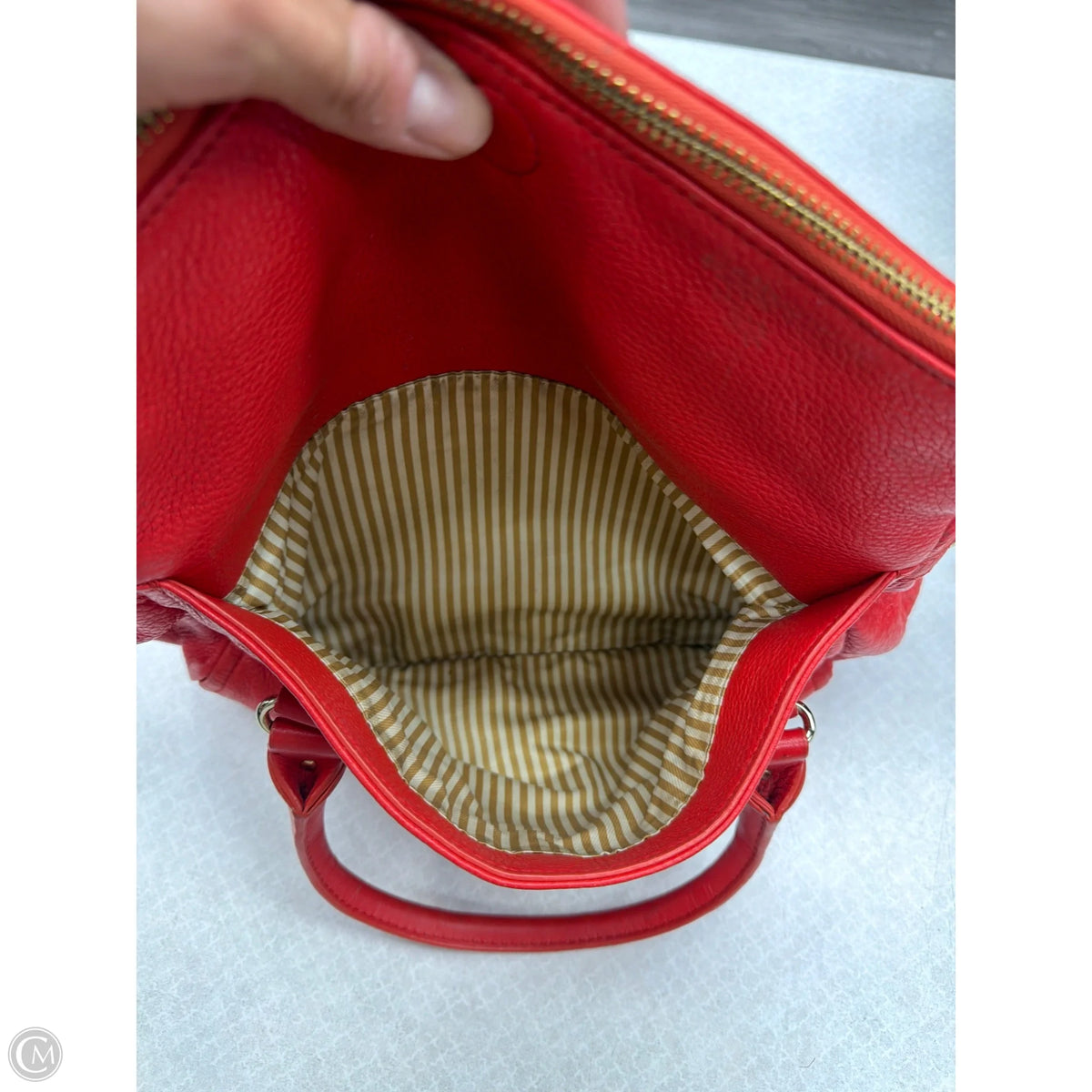 Crossbody Designer By Kate Spade, Size: Medium