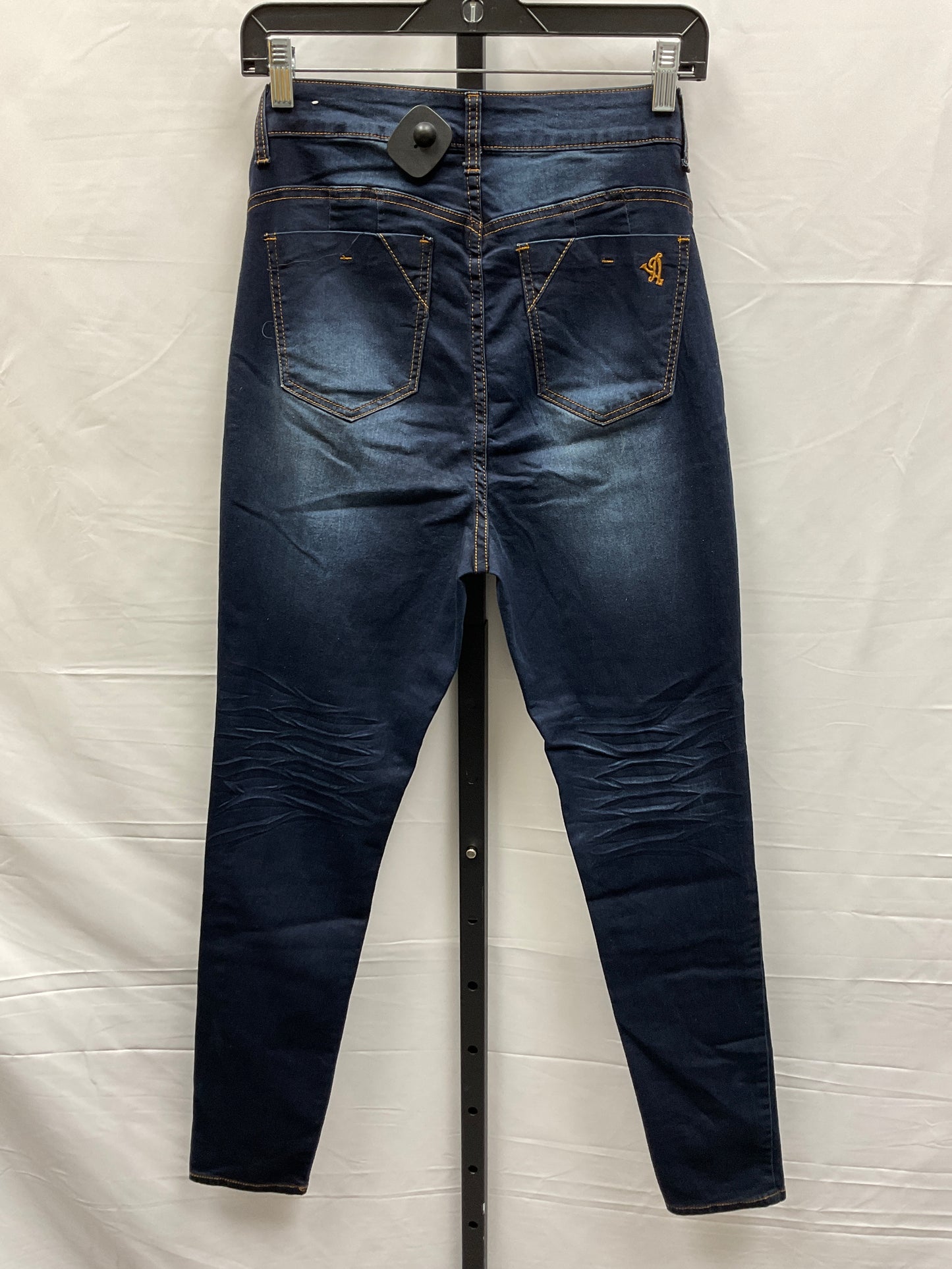 Blue Denim Jeans Skinny Clothes Mentor, Size 12