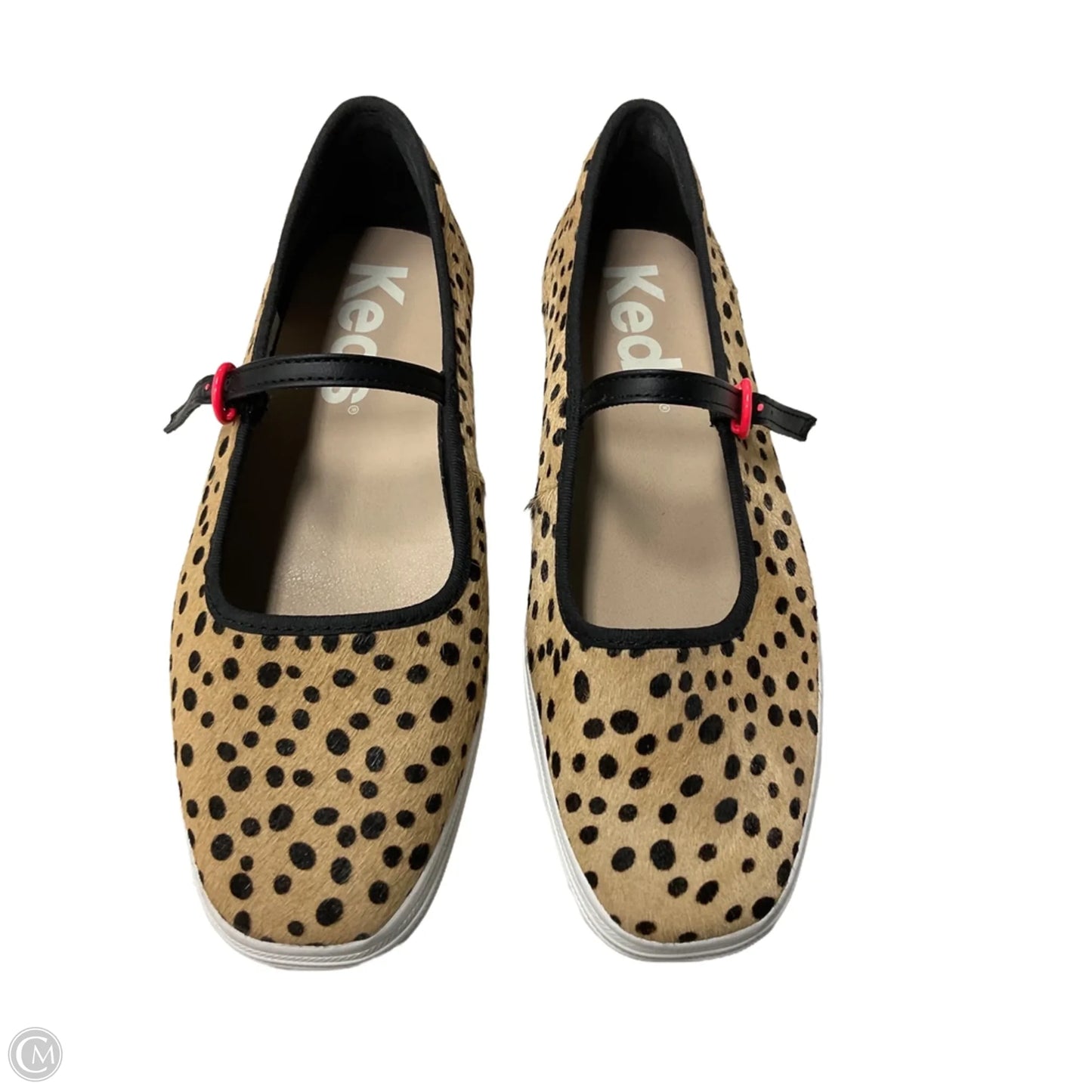 Shoes Sneakers By Keds In Black & Tan, Size: 7.5