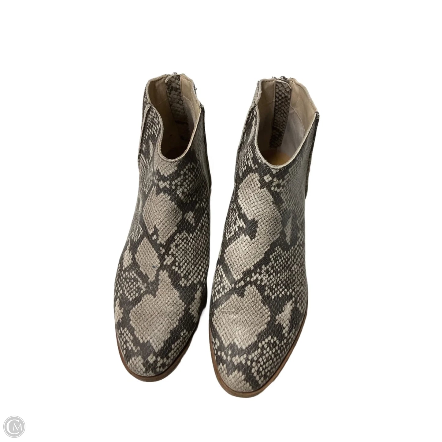 Boots Ankle Heels By Dolce Vita In Snakeskin Print, Size: 8.5