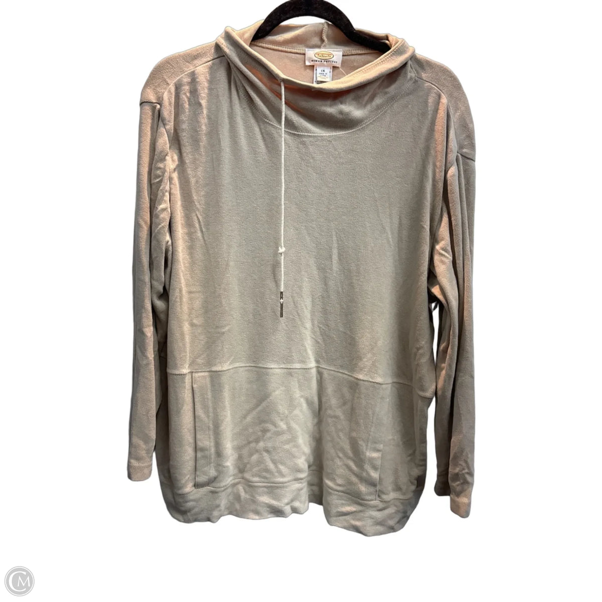 Sweatshirt Collar By Talbots In Beige, Size: 1x