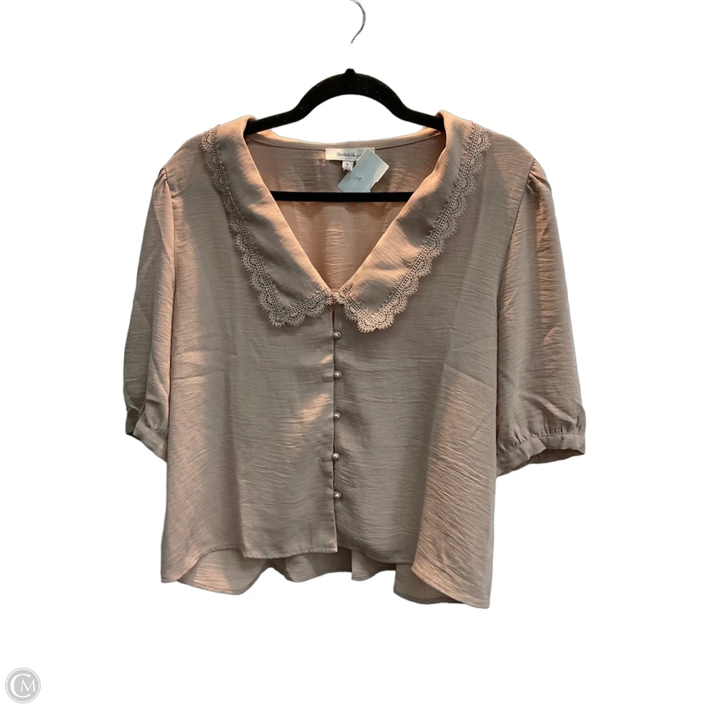 Blouse 3/4 Sleeve By Clothes Mentor In Tan, Size: L