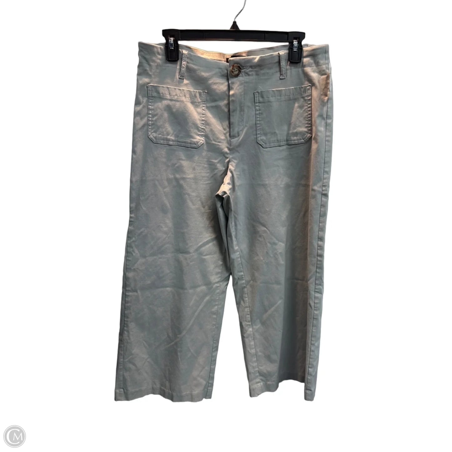 Pants Cargo & Utility By Clothes Mentor In Grey, Size: Xl