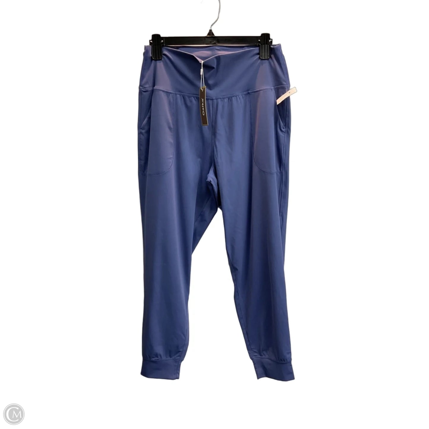 Athletic Pants By Clothes Mentor In Blue, Size: Xl