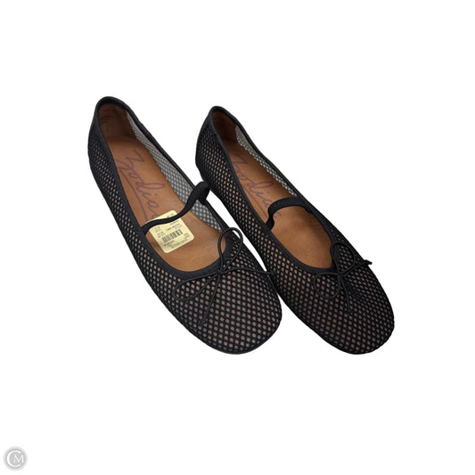Shoes Flats By Zodiac In Black, Size: 8.5