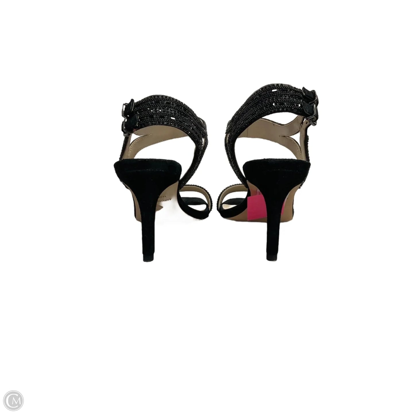 Shoes Heels Kitten By Antonio Melani In Black, Size: 6.5