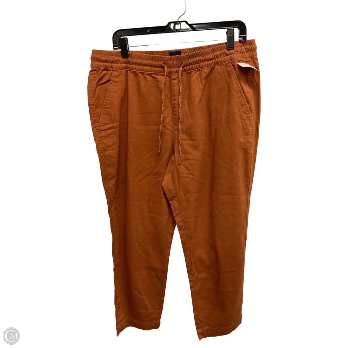 Pants Chinos & Khakis By Gap In Brown, Size: L