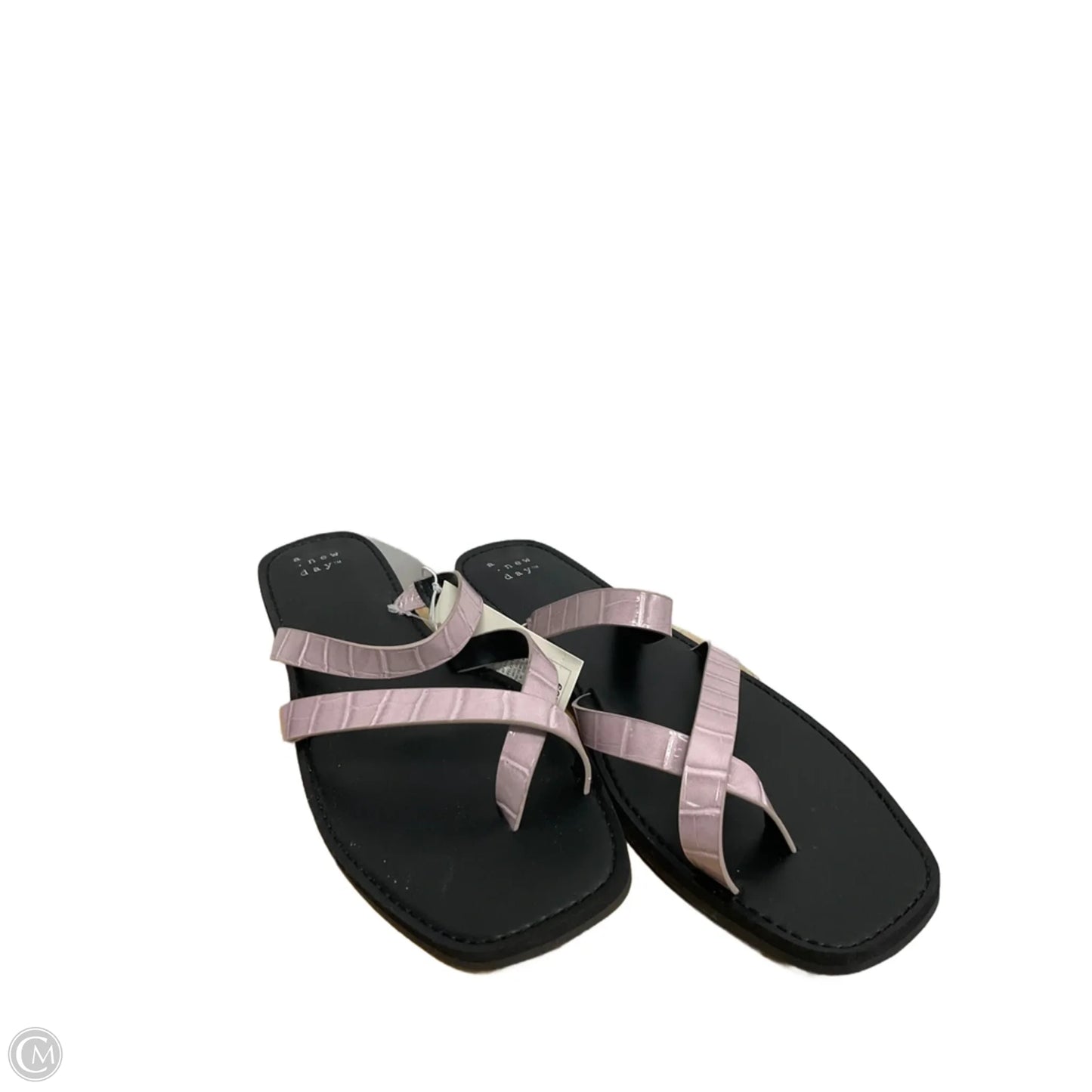 Sandals Flats By A New Day In Purple, Size: 10