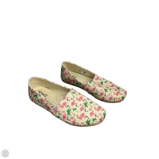 Shoes Athletic By Toms In Pink, Size: 6