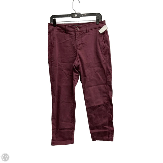 Pants Chinos & Khakis By Liverpool In Maroon, Size: 6