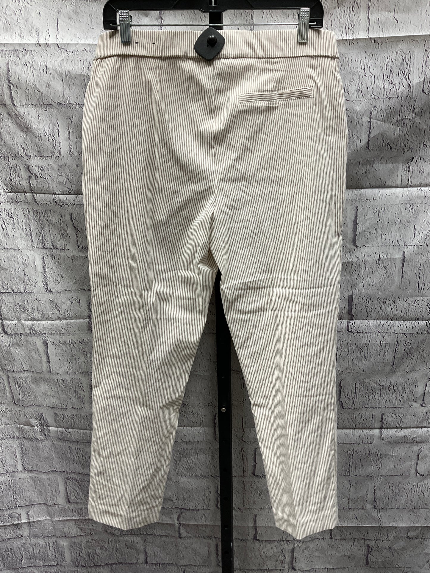 Pants Ankle By Jones And Co  Size: Xl