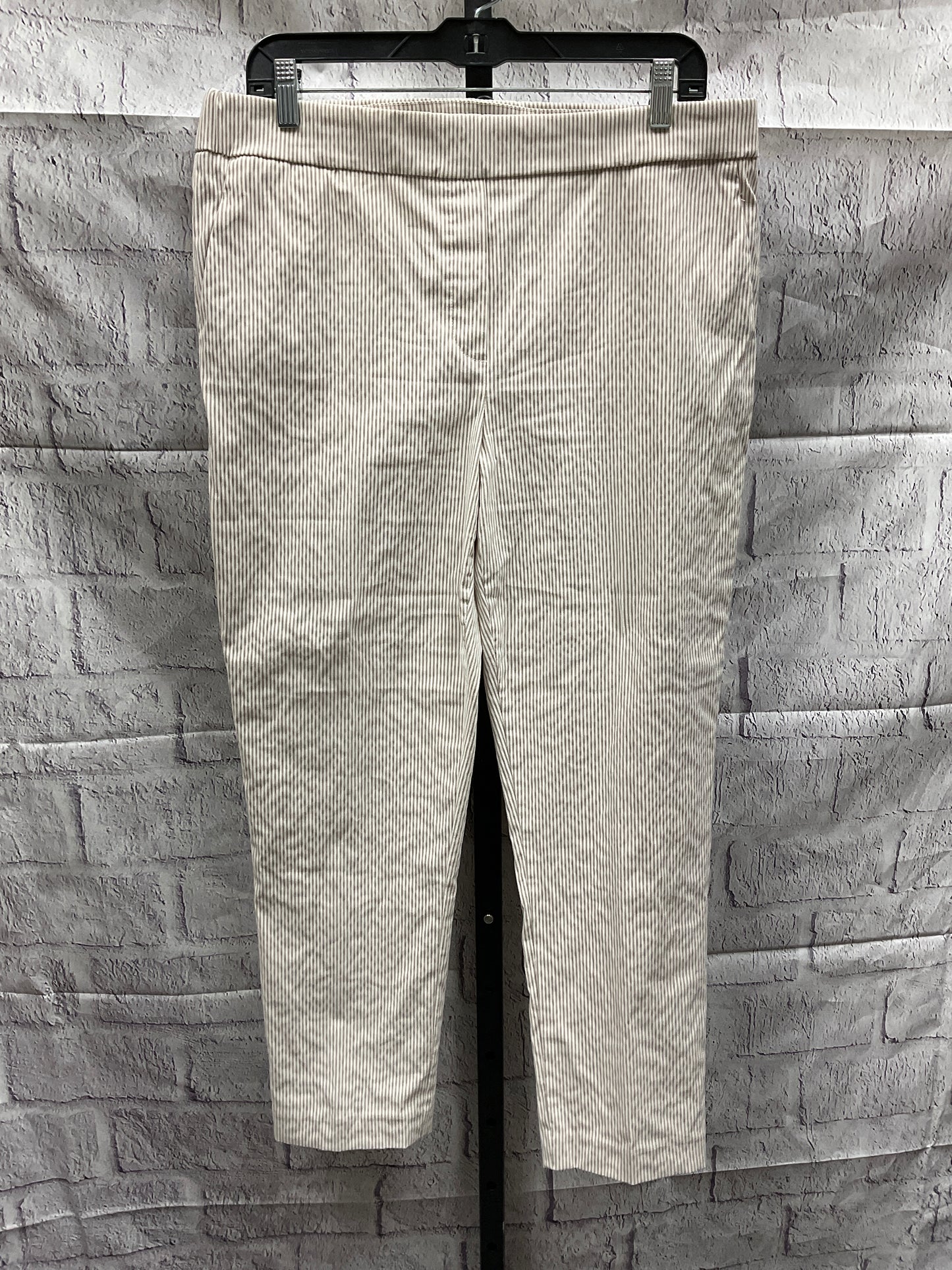 Pants Ankle By Jones And Co  Size: Xl